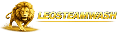 Leosteamstudio Logo